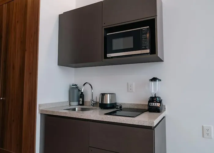 Apartment Condesa - Roma Luxury 203 *