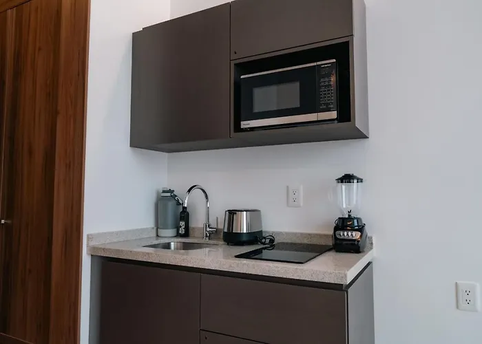 Condesa - Roma Luxury 203 Apartment